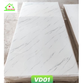 Vd01