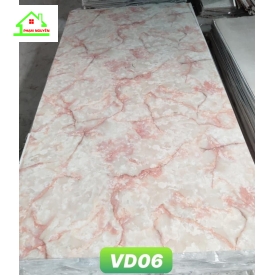 Vd06