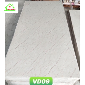 Vd09