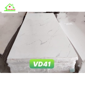 Vd41