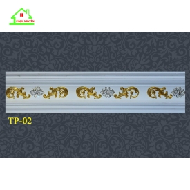 Tp-02