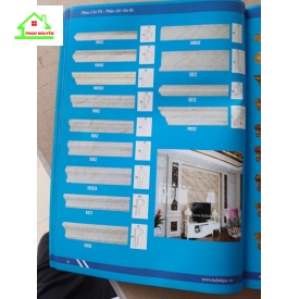 Ps phào chỉ vân đá9
