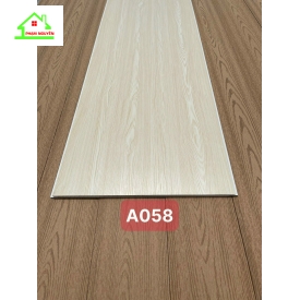 A058