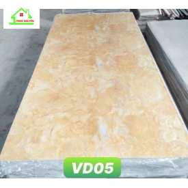 VD05