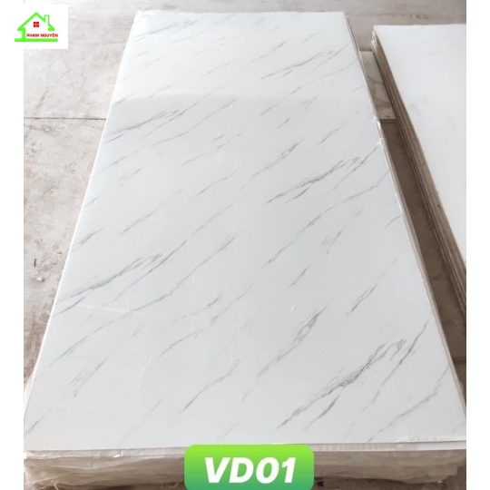 Vd01
