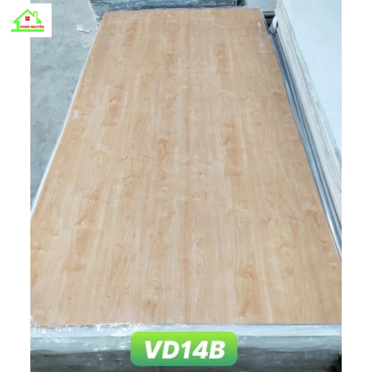 Vd 14b