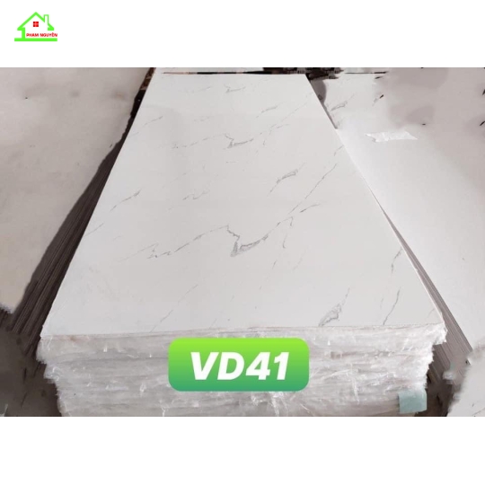 Vd41