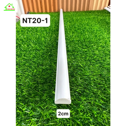 Nt20