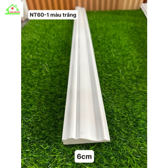Ps nt60