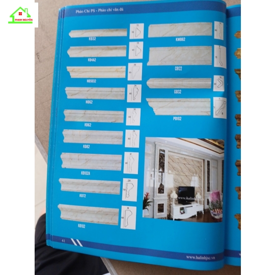 Ps phào chỉ vân đá9