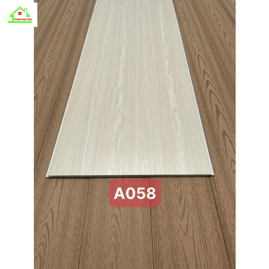 A058