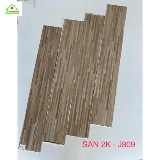 SÀN 2K-J809
